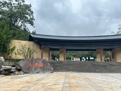 -天目山大树王景区