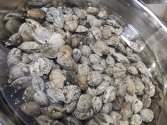 -北戴河东海水浴场