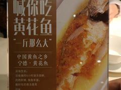 -琥珀·原创臻选店(维家思店)