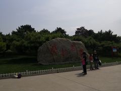 -塘沽森林公园