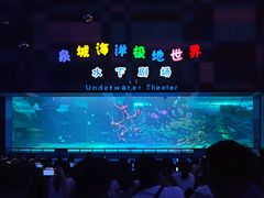 -泉城欧乐堡海洋极地世界