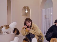 -More Fun猫咖 二十只万元加菲主题