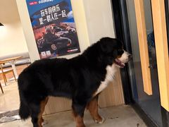 -小意思咖啡店(草桥店)