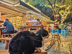 -金海椒罐罐鲢鱼(东方桂苑店)