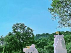 -云溪植物园