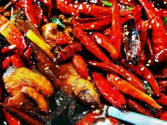 香辣武当岩鱼-丹江渔村(望京店)