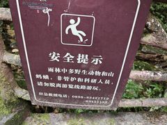 -海南热带雨林国家公园吊罗山景区