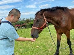 -武汉紫薇都市田园