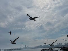 -星海广场