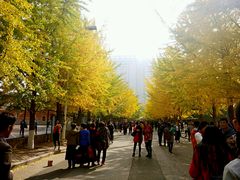 -辽宁大学(崇山校区)
