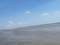-观潮胜地公园