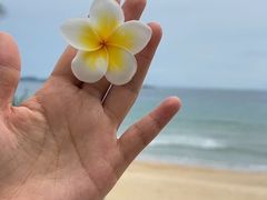 -白云中餐厅·粤菜·亚龙湾喜来登度假酒店