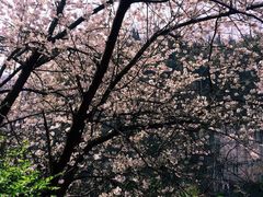 -西陵峡快乐谷(三峡蹦极)