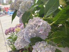 -盘龙城遗址博物院