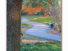 -上海共青森林公园