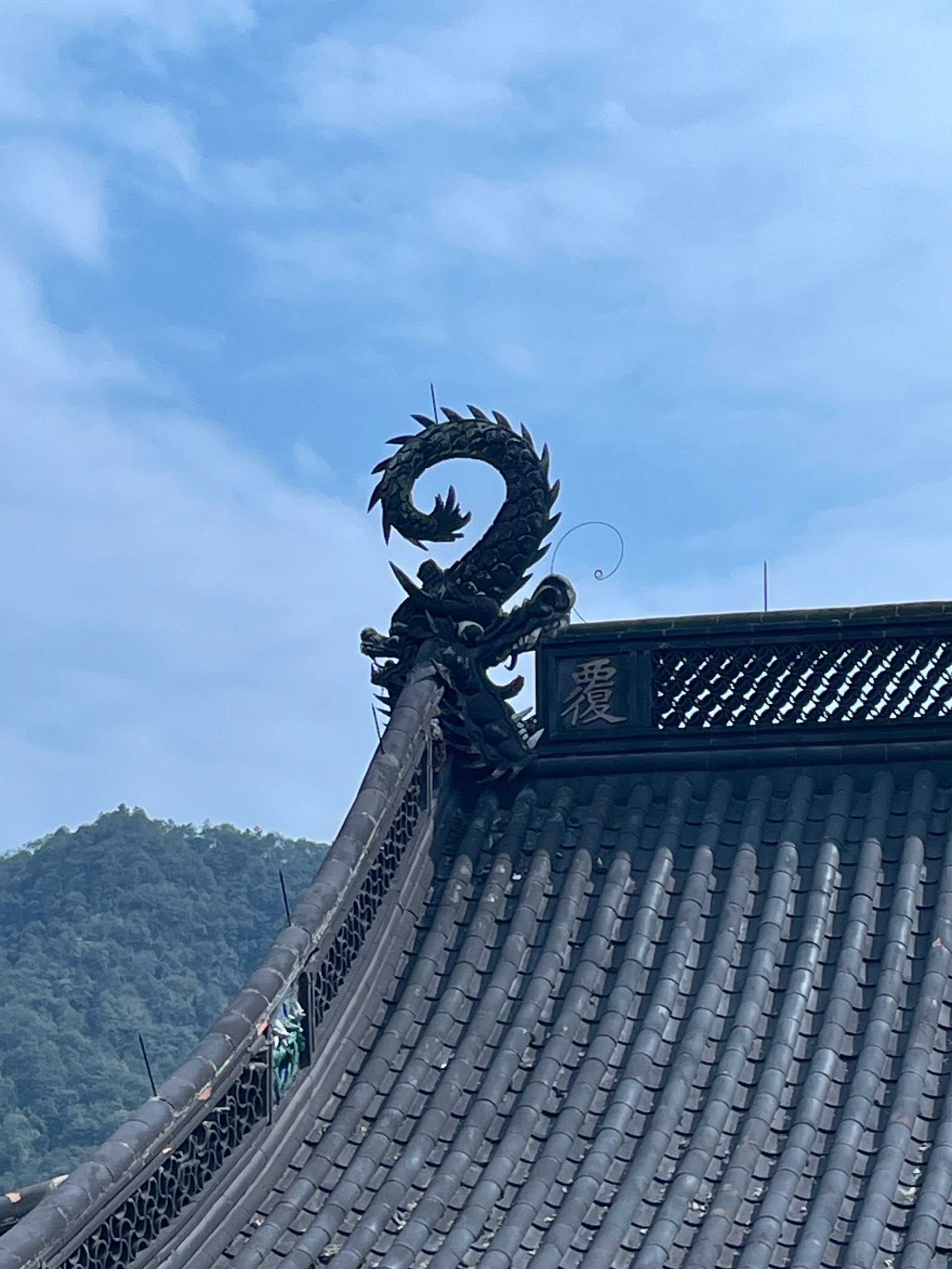 法喜寺的玉兰真的开的超级漂亮

#0元玩转这座城 #法喜寺500年的