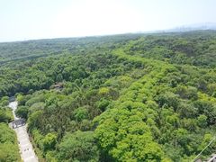 -宜兴龙背山森林公园