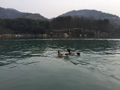 -白马涧龙池景区