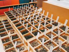 -tea'stone (万象天地店)