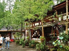 -青城甲(青城山店)