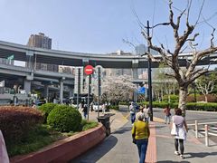 -上海南浦大桥长途旅游客运站