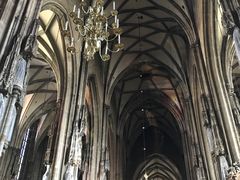 -斯蒂芬主教座堂(Stephansdom)