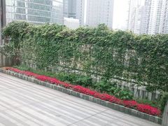 -榛悦隆堡成都酒店(春熙路太古里店)