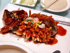 松鼠桂鱼-洋洋中餐馆·SINCE 1997(信投店)