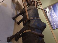 -晋江博物馆