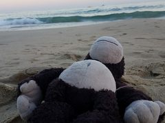 -海云台海滩