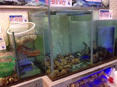 -旅南活海鲜-屏东(墾丁海鮮，海鮮餐廳，墾丁團體合菜，平價熱炒，墾丁熱炒店，活海鮮推薦，在地海鮮餐廳)