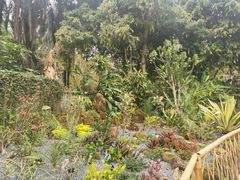 -中国科学院西双版纳热带植物园