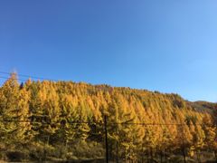 -苏木山森林公园