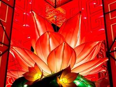 -印象普陀