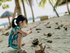 -东郊椰林