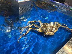 -盒马鲜生(莱蒙都会店)