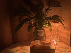 -巴拉吉·SPA·按摩养生馆