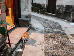 -渔梁坝