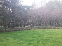 -双拥公园