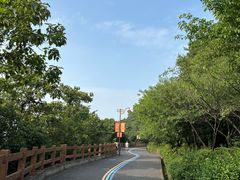 -杭州半山国家森林公园