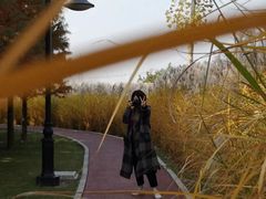 -羊亭河湿地公园