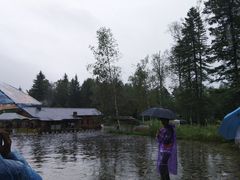 -五营红松林海景区