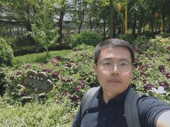 -洛阳市隋唐城遗址植物园
