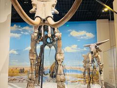 -国家自然博物馆