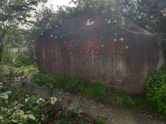 -鹅湖玫瑰文化园