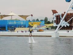 -秦皇岛乐岛海洋王国