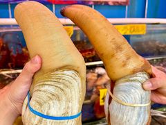 -四海之家(蛇口店)