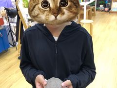 -蒂朵儿童绘画美术教室