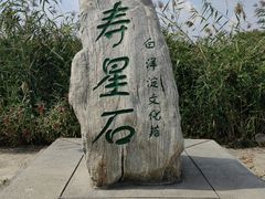 -白洋淀景区