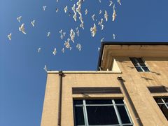 -王府井奥莱棋盘山小镇